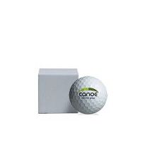 1 Logo Golf Ball in Plain White Sleeve