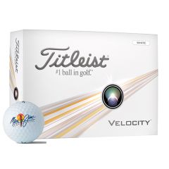 Titleist Velocity Golf Balls Dozen Pack